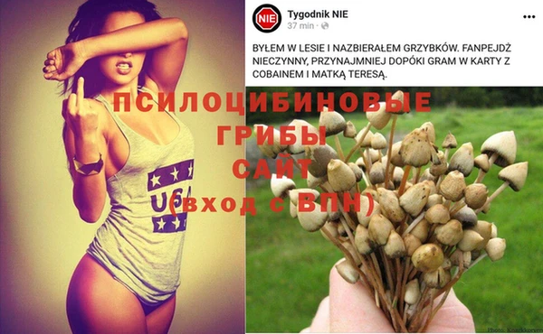 ECSTASY Алексеевка