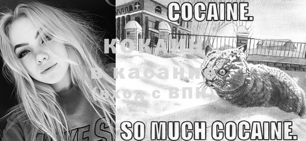 стафф Новозыбков