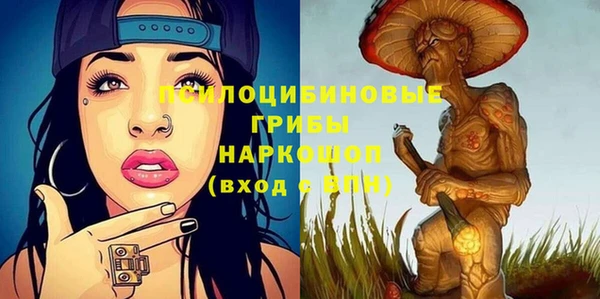стафф Новозыбков