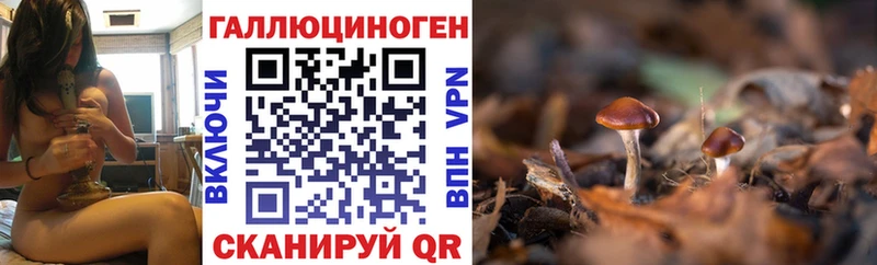 Галлюциногенные грибы мицелий  hydra ссылка  Арамиль 